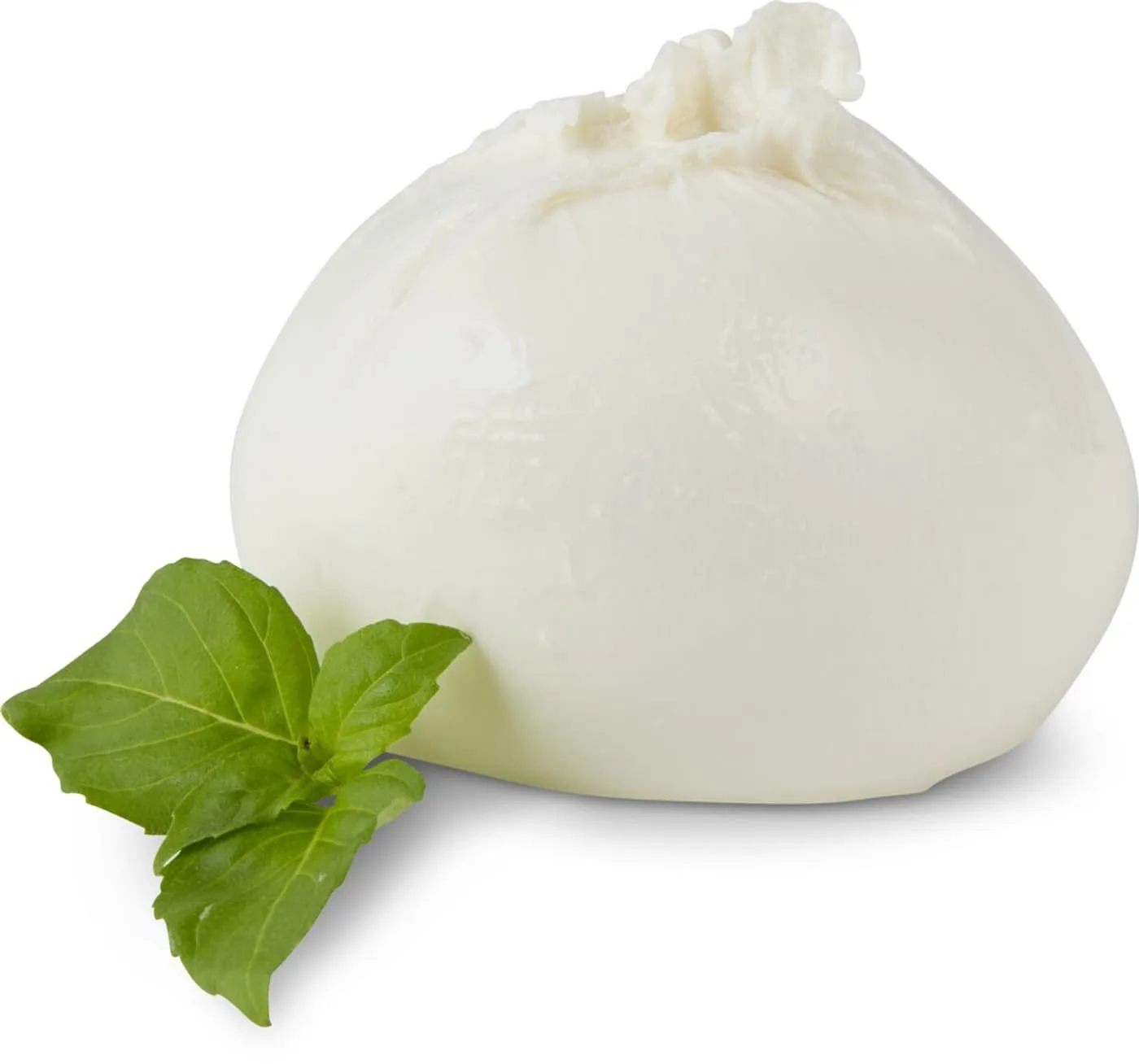 Burratina