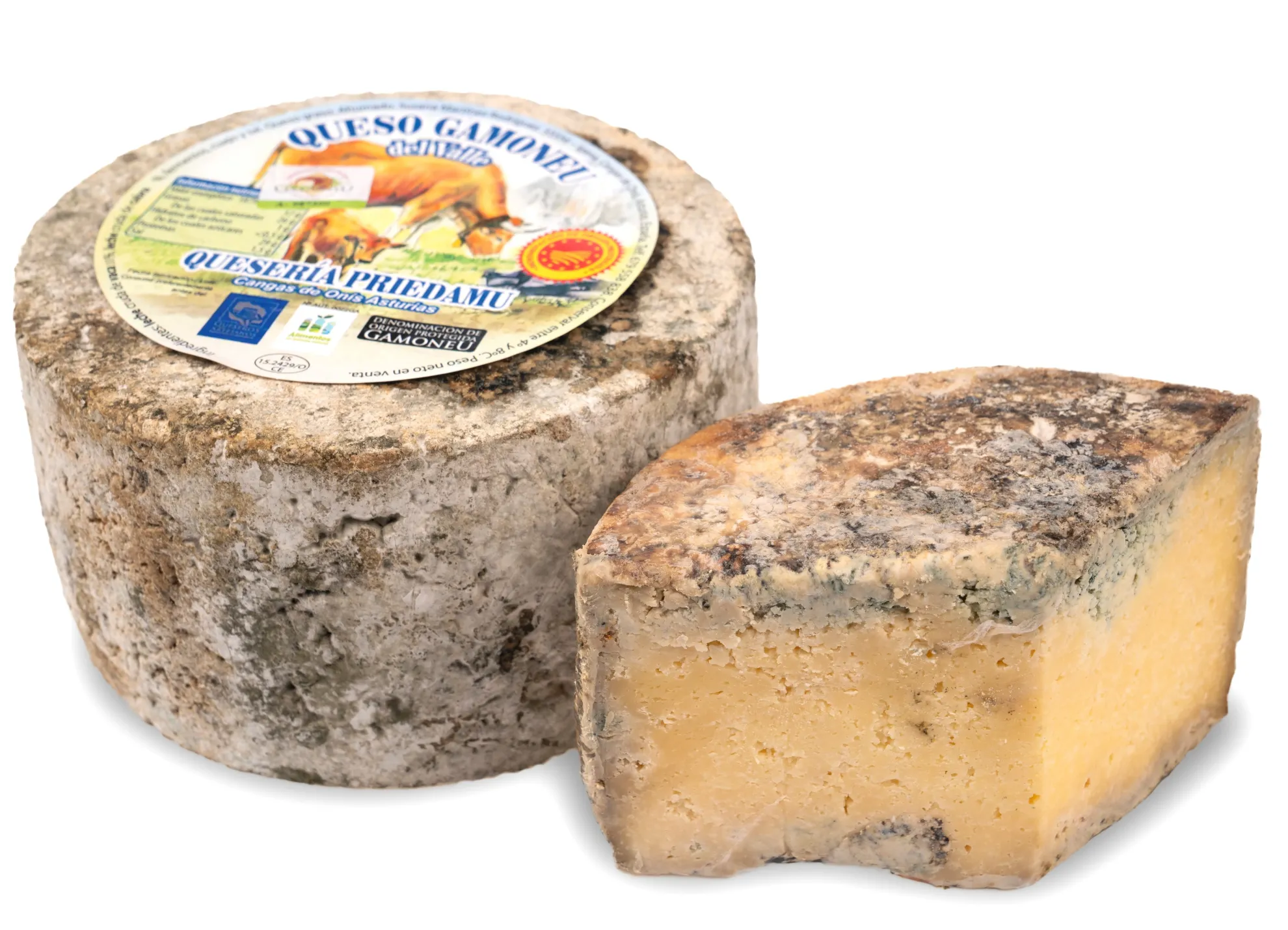 Gamonéu