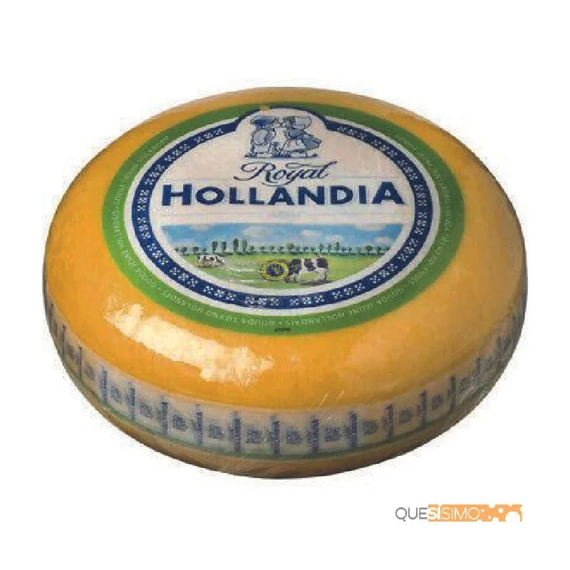Queso Gouda Rueda Tierno