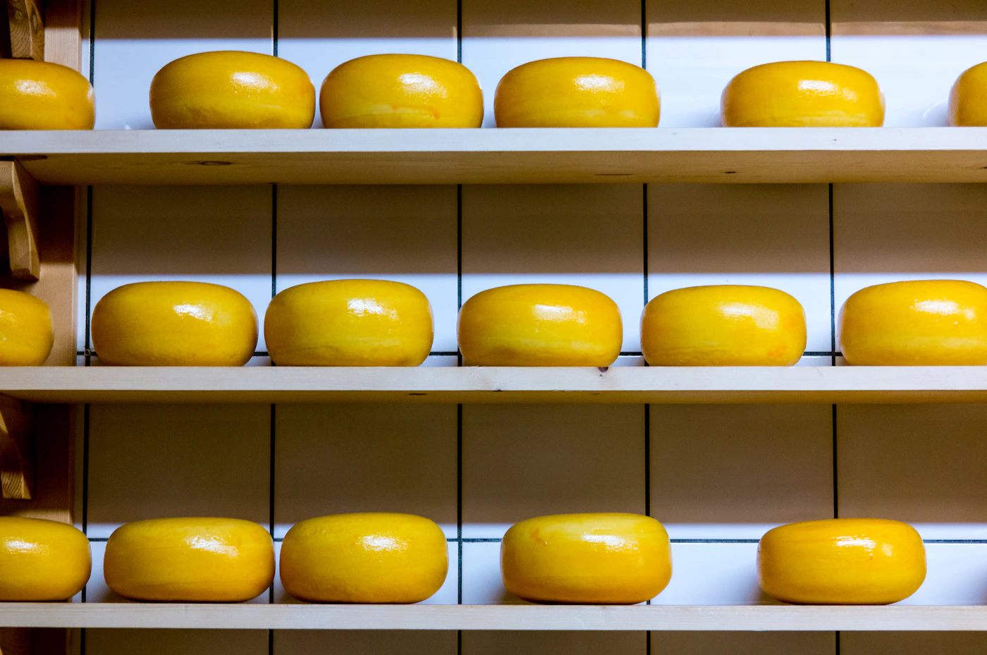 Ruedas de queso madurando en baldas de madera